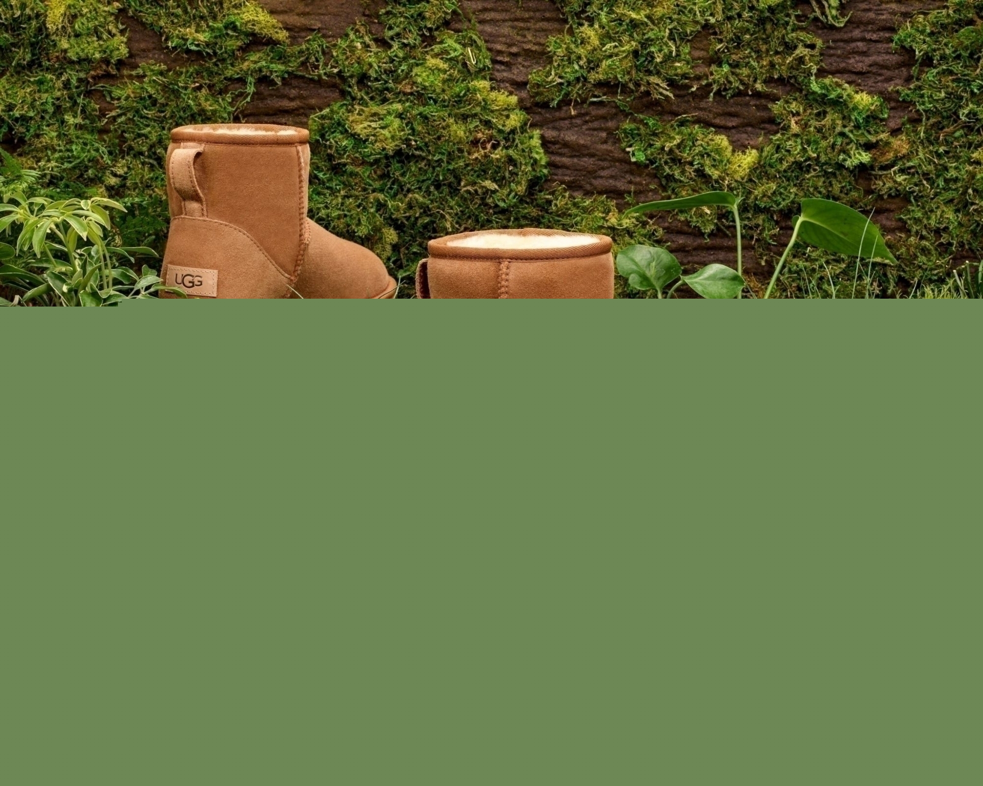mini regenerate ugg