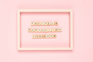 Minimal flate lay frame. Small Business Administration. Wooden cubes with PPP, Paycheck Protection Program concept on pink texture with copy space. Coronavirus financial impact.